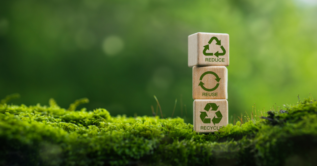 Eco college